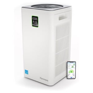 Air Purifier with H13 True HEPA Filter